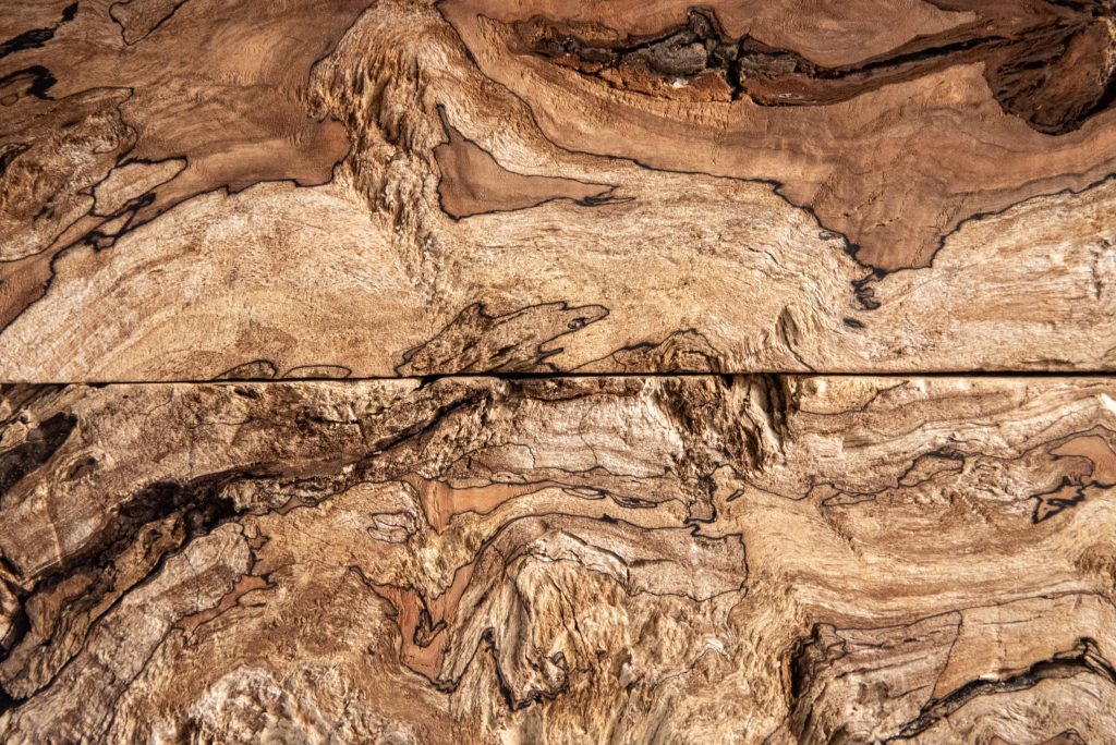 Edge of a spalted maple board showing the spalting pattern