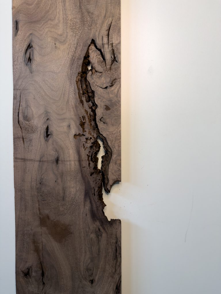Black walnut board with natural voids and bark inclusions