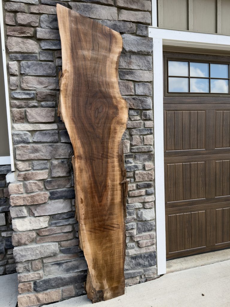Long, narrow walnut live-edge slab with creamy sapwood edges