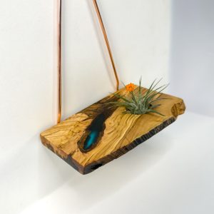 Air Plant Wall Hanger in olivewood with a blue resin accent and copper hanger, with air plant