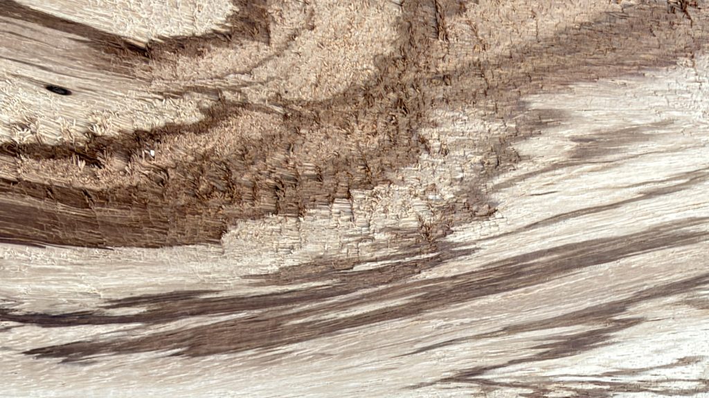 Close-up of zebrawood figure with dark, swirling stripes